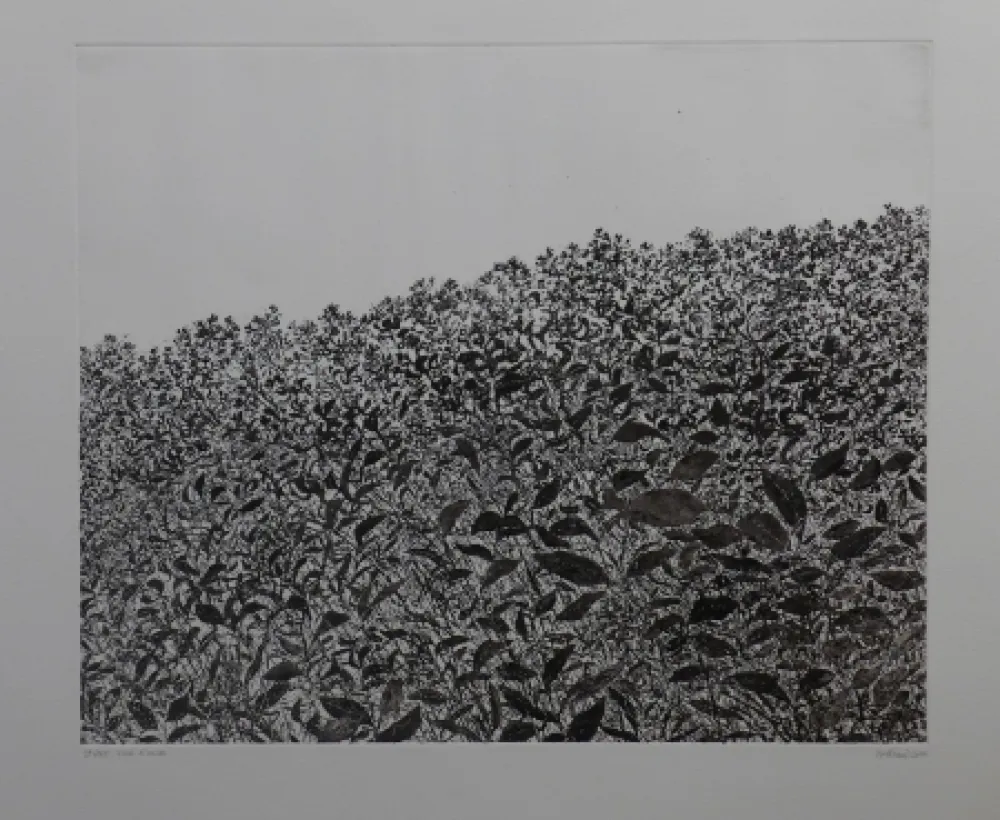 エッチング Henry - Sans titre