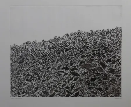 エッチング Henry - Sans titre