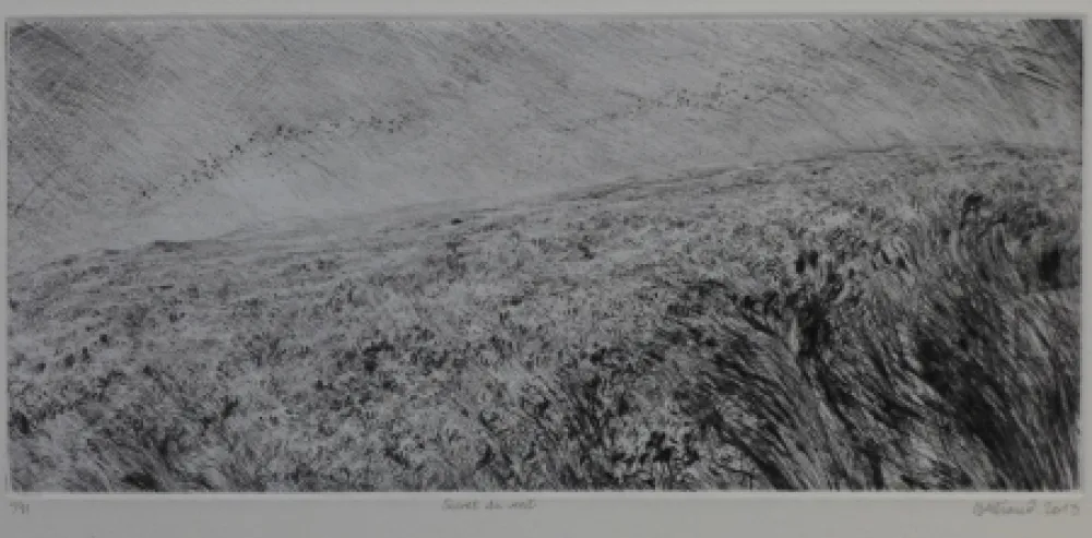 ポイントーセッシュ Henry - Secret du vent