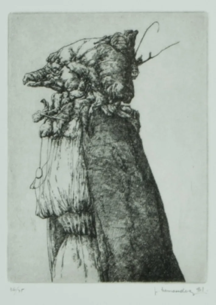 彫版 Hernandez - Personaje