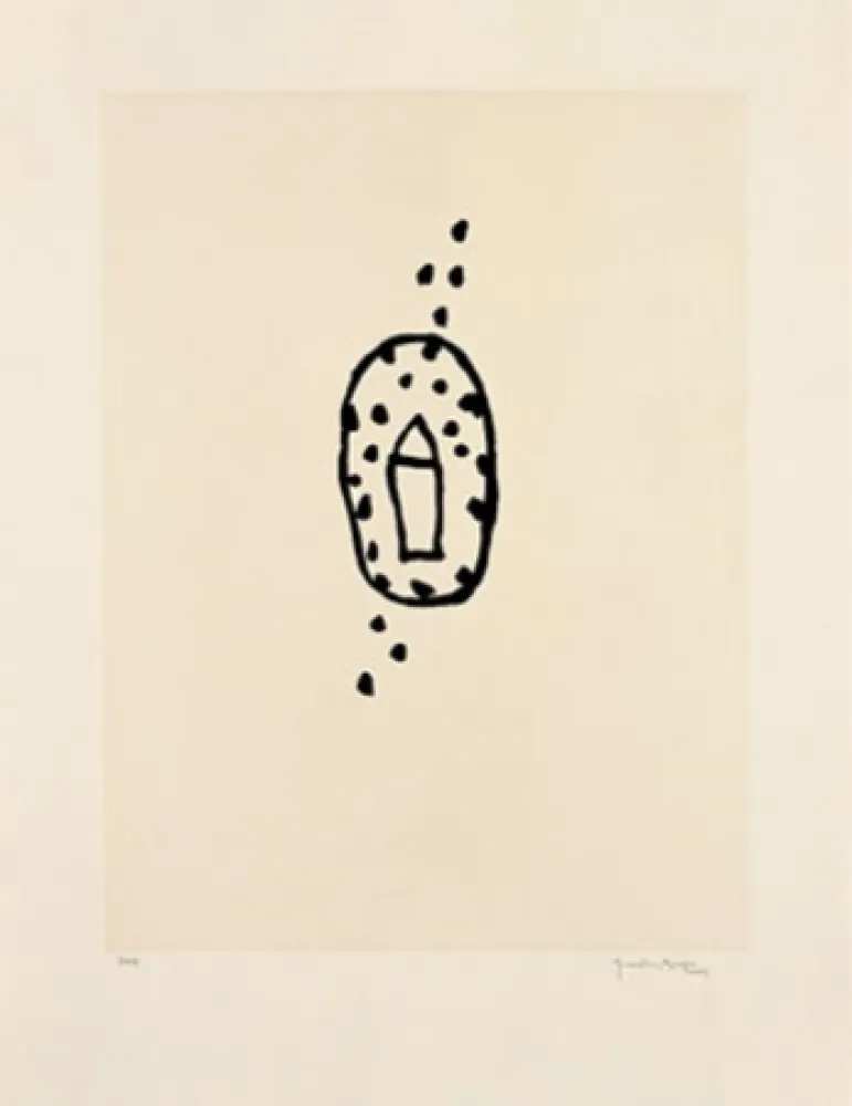 アクチアント Hernandez Pijuan - Casa amb jardí 2