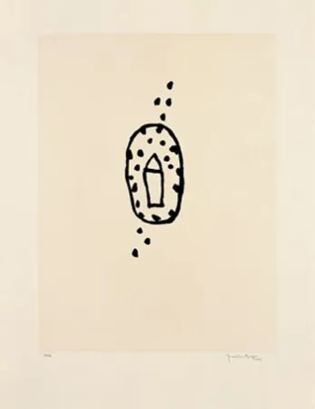 アクチアント Hernandez Pijuan - Casa amb jardí 2