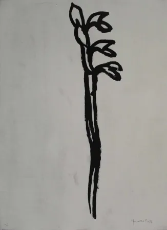 アクチアント Hernandez Pijuan - Flor 1