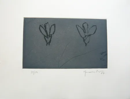 多数の Hernandez Pijuan - Flors sobre gris