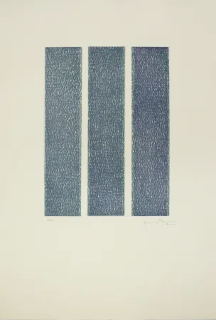 アクチアント Hernandez Pijuan - HP 13