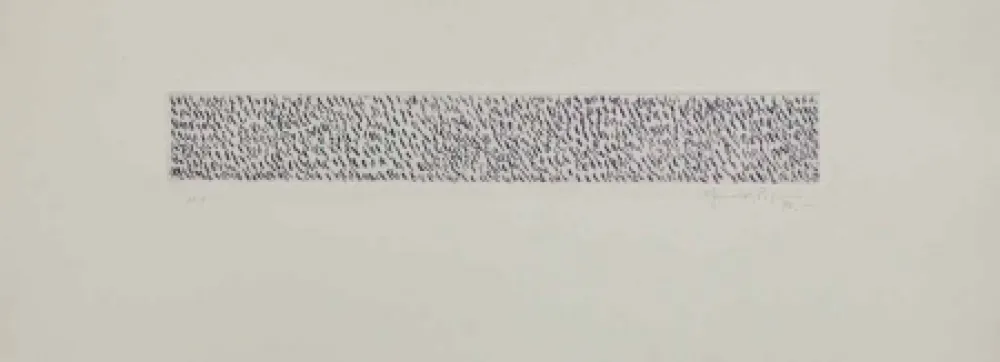 アクチアント Hernandez Pijuan - HP 9