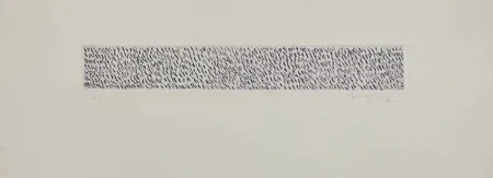 アクチアント Hernandez Pijuan - HP 9