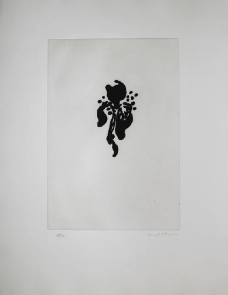 アクチアント Hernandez Pijuan - Iris negre I (Black Iris I)