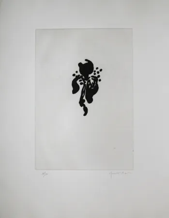 アクチアント Hernandez Pijuan - Iris negre I (Black Iris I)