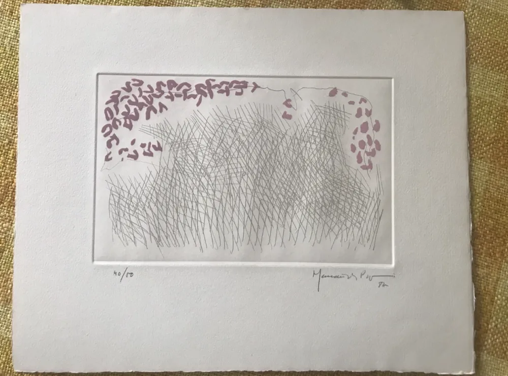 エッチングと　アクチアント Hernandez Pijuan - PJ-10