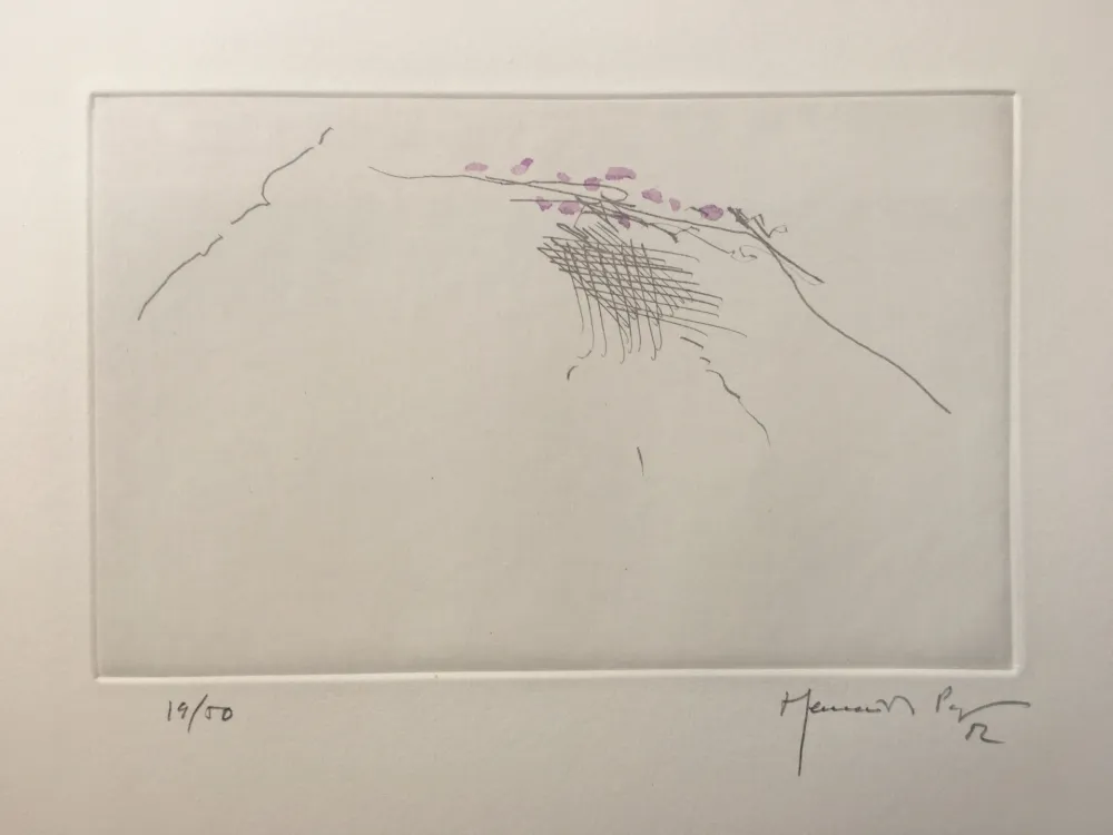 彫版 Hernandez Pijuan - PJ8