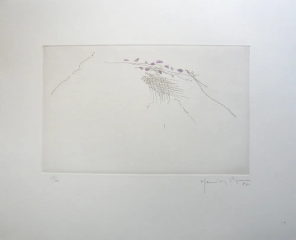 彫版 Hernandez Pijuan - PJ8