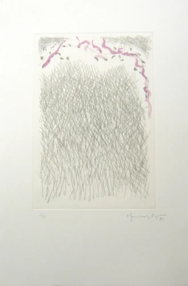 彫版 Hernandez Pijuan - PL2