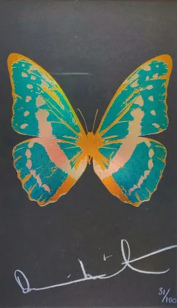 多数の Hirst - Butterfly from The Souls