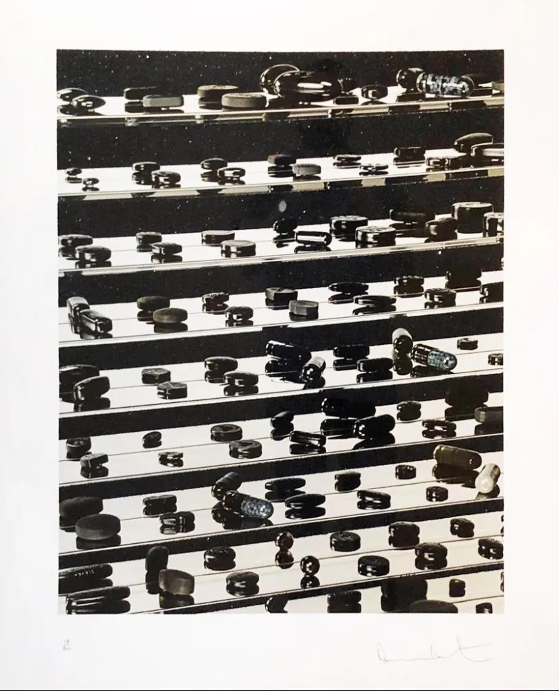 技術的なありません Hirst - Dead Black Brilliant Utopia