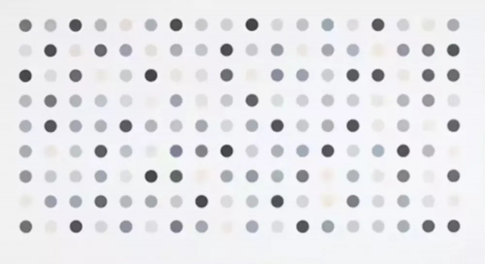 彫版 Hirst - Diacetoxyscirpenol Spot Print