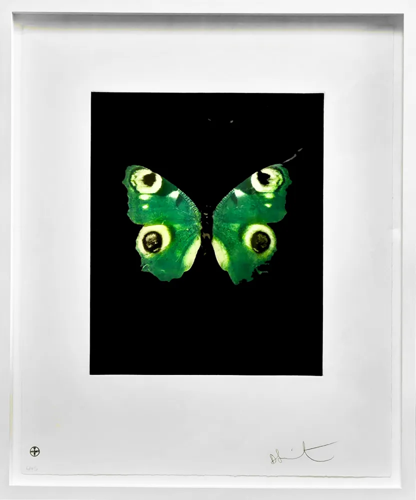 技術的なありません Hirst -  Fate - from the Butterflies portfolio, 2009 