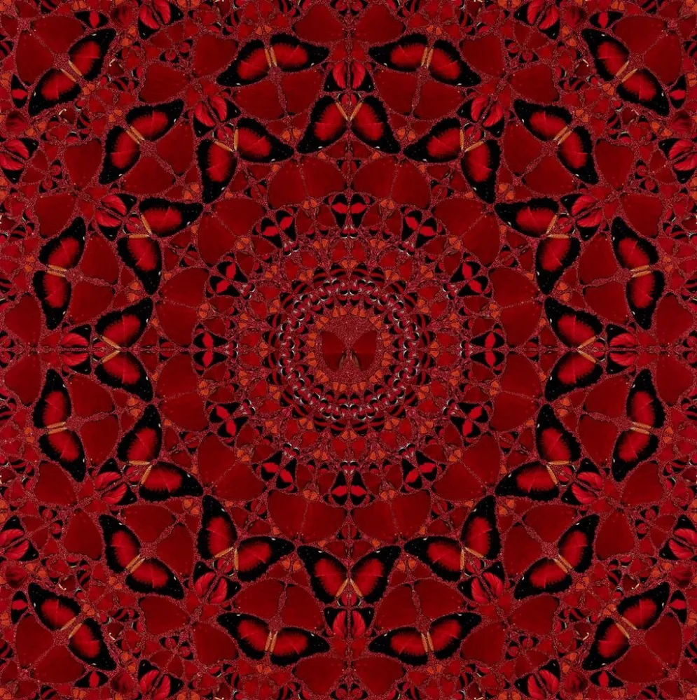 シルクスクリーン Hirst - H10-4 Suiko