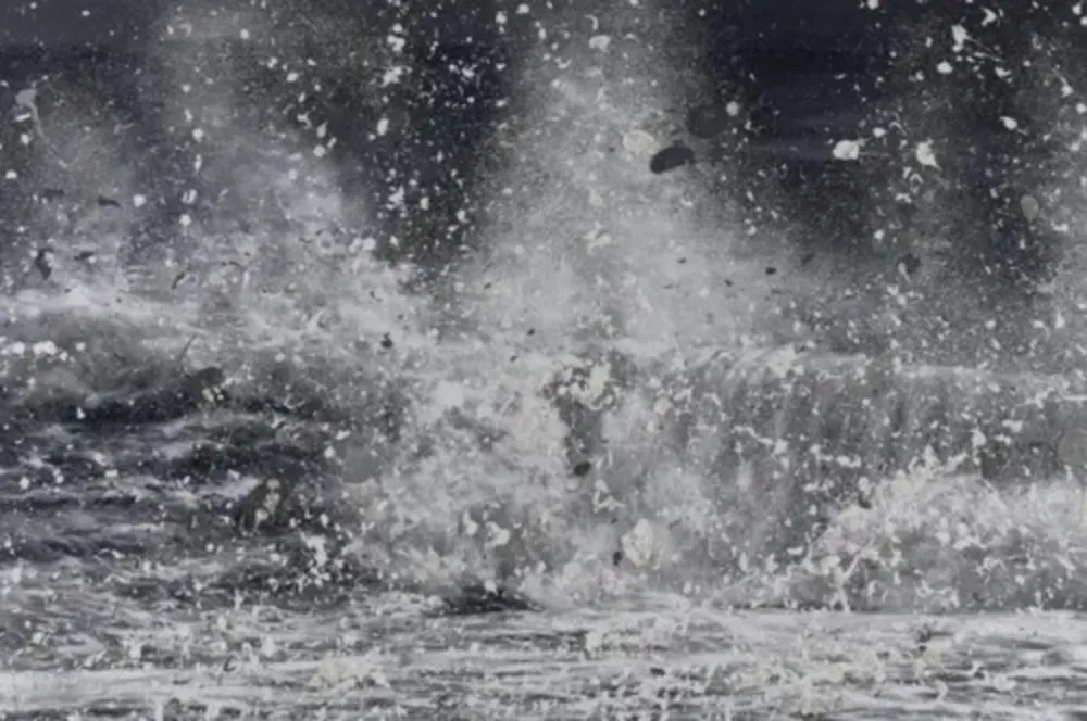 多数の Hirst - H13-10 Blizzard