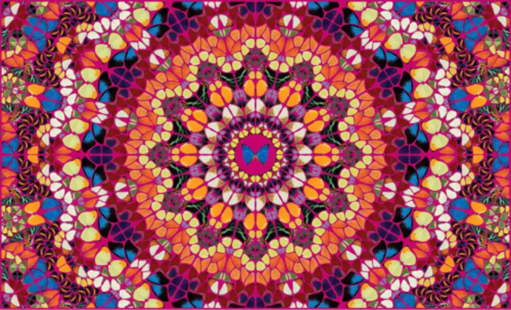 多数の Hirst - Harlequin from The Kaleidoscopes H18-1