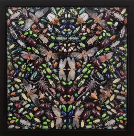 多数の Hirst - Inferno