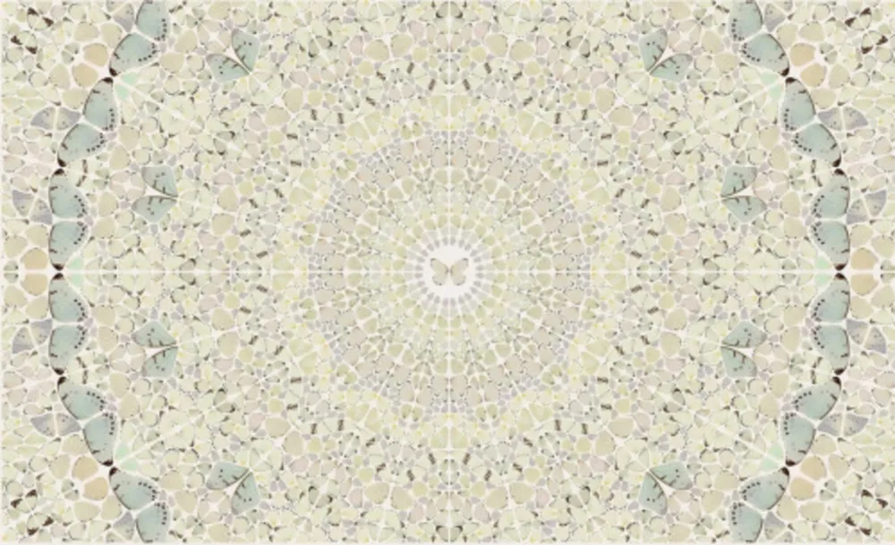 多数の Hirst - Intricacy from the Kaleidoscopes, H18-5