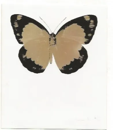 技術的なありません Hirst - Long Life Purple African Gold Imperial Purple Skull