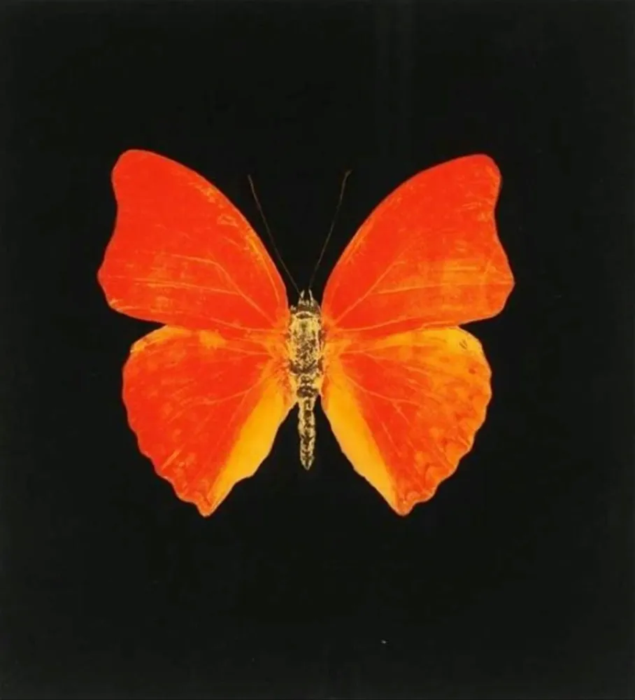 多数の Hirst - Memento 3