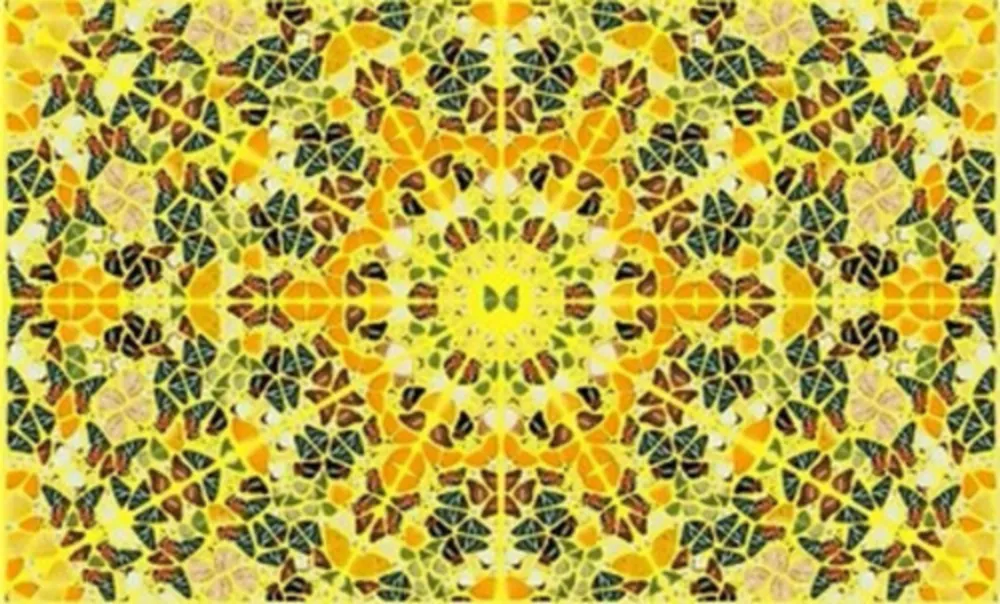 多数の Hirst - Splendour from the Kaleidoscopes, H18-4