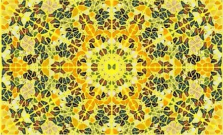 多数の Hirst - Splendour from the Kaleidoscopes, H18-4