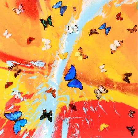多数の Hirst - The Dreams – Aurora Dawn