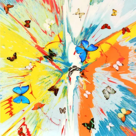 多数の Hirst - The Dreams – Transient Ephemera