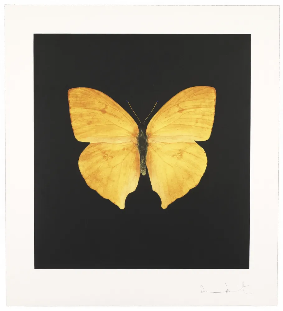 彫版 Hirst - The Souls On Jacob’s Ladder Take Their Flight I