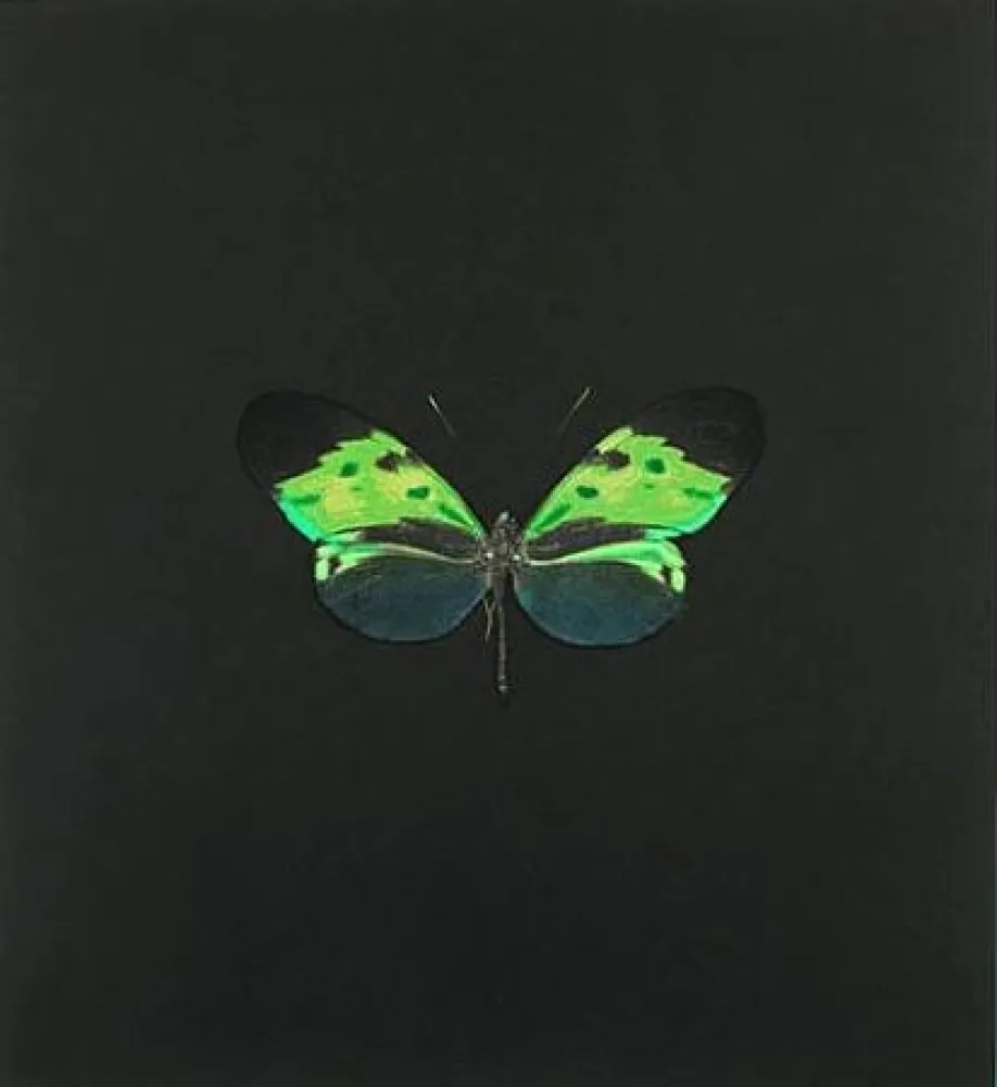 エッチング Hirst - The Souls on Jacob's Ladder Take Their Flight (Small Green)