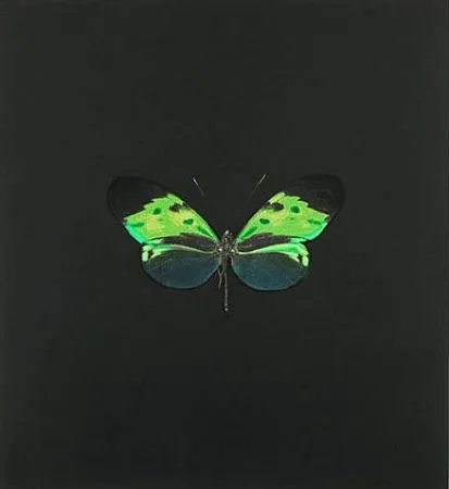エッチング Hirst - The Souls on Jacob's Ladder Take Their Flight (Small Green)