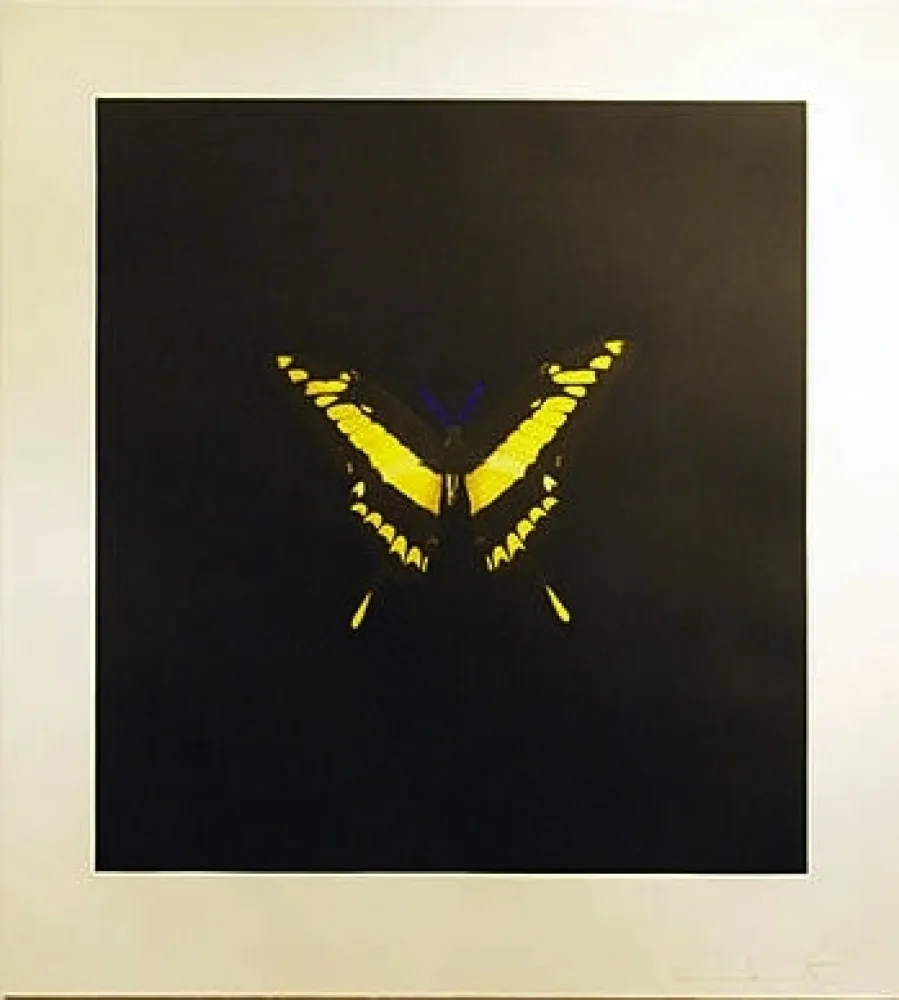 エッチング Hirst - The Souls On Jacob's Ladder Take Their Flight (Small Yellow)