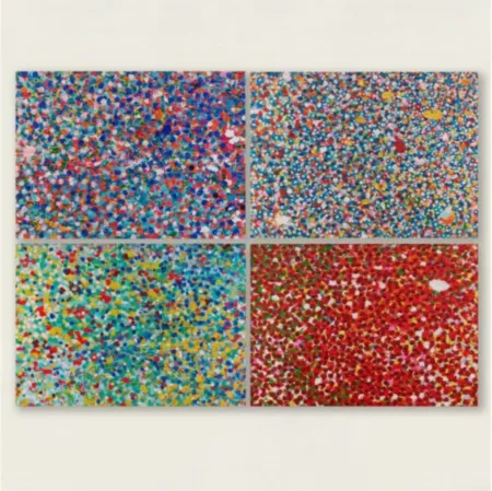多数の Hirst - Veils Set of 4