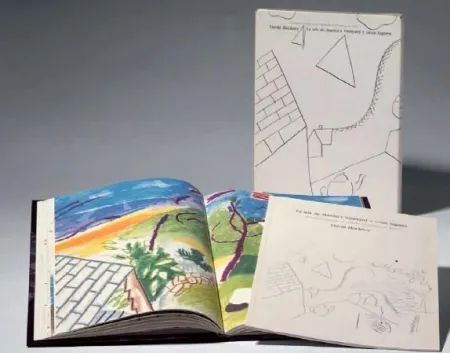 挿絵入り本 Hockney -  La Isla de Martha Vineyard y otros lugares