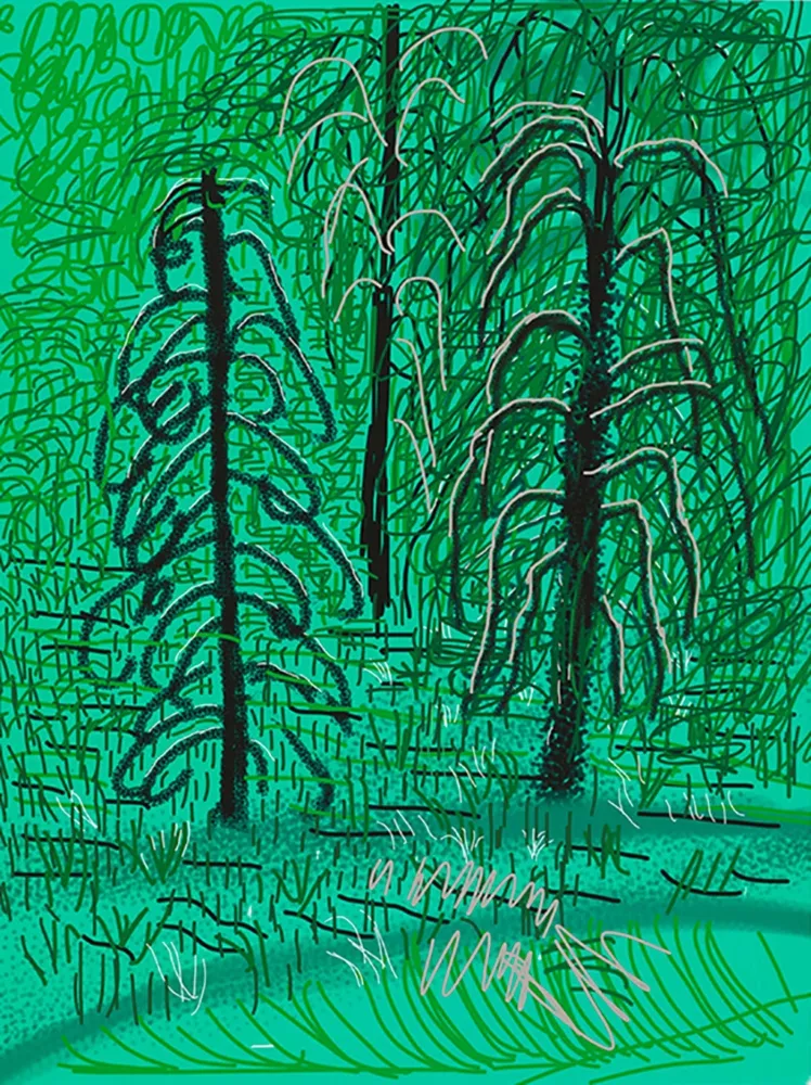 デジタル版画 Hockney - Yosemite No.16