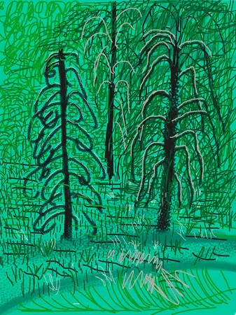 デジタル版画 Hockney - Yosemite No.16