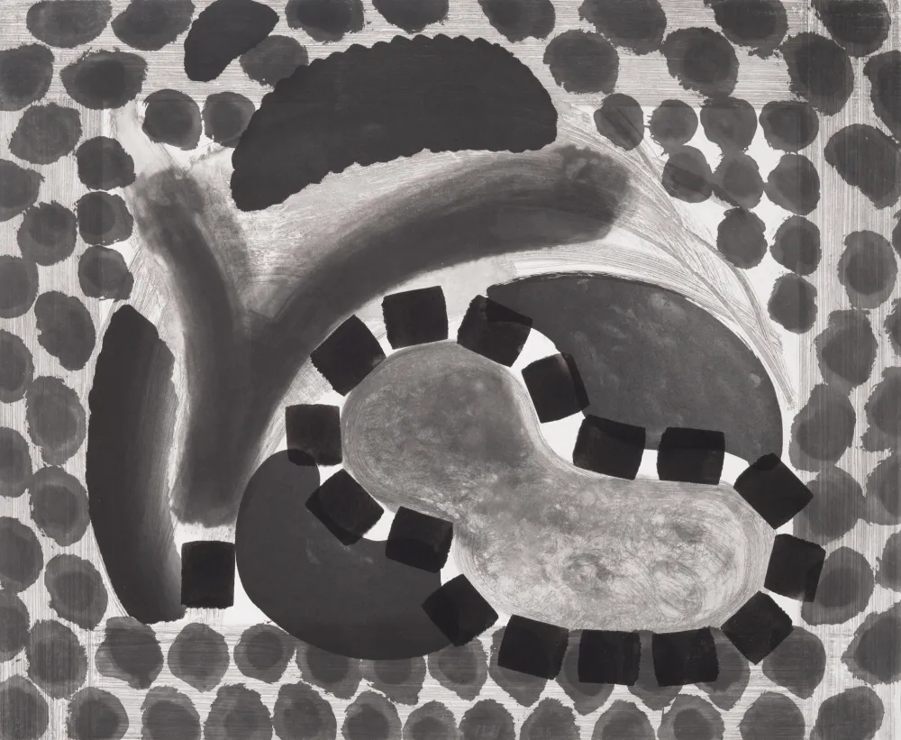 多数の Hodgkin - David's Pool at Night