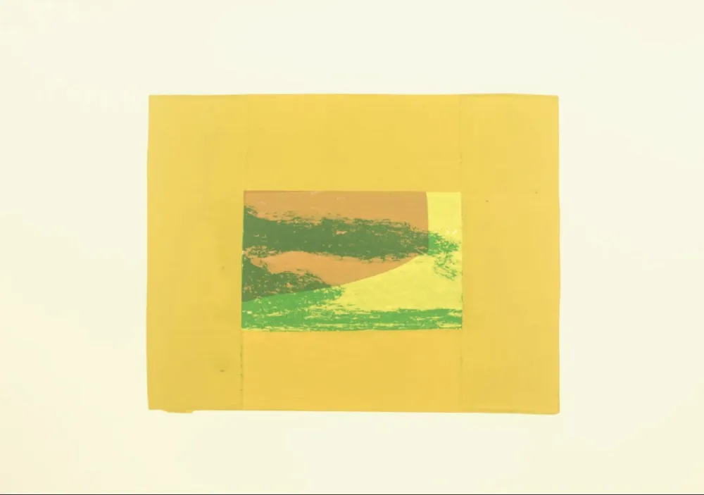 シルクスクリーン Hodgkin - Indian Views – Plate F