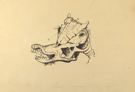 リトグラフ Hofer - Pferdeschädel / Horse Skull