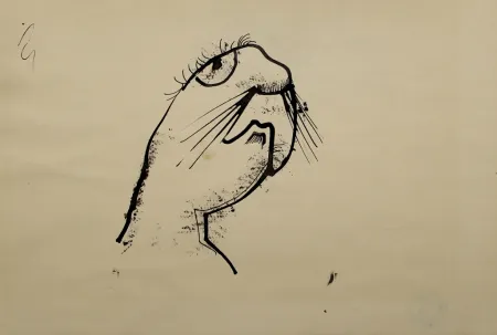 技術的なありません Hofer - Robbe (Seal)