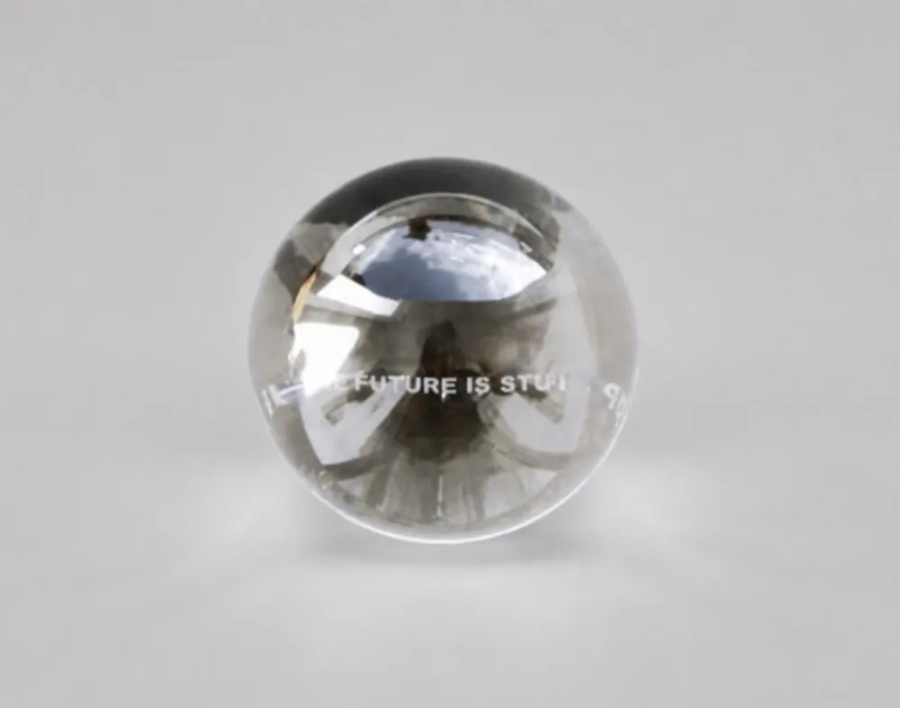 多数の Holzer - The future is stupid