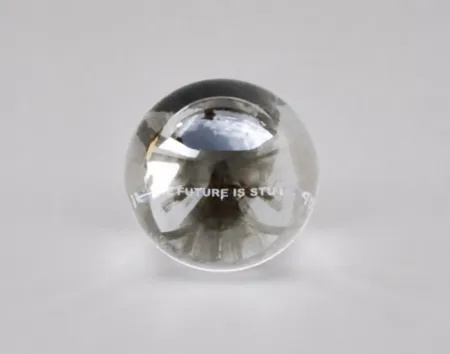 多数の Holzer - The future is stupid