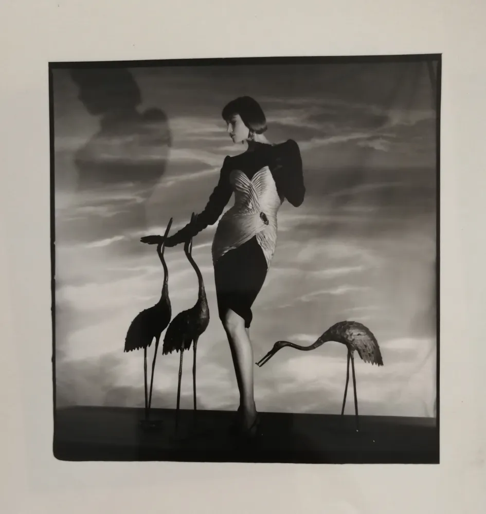 写真 Horst  - Femme aux hérons