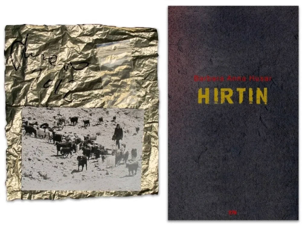 挿絵入り本 Husar  - L'art en écrit