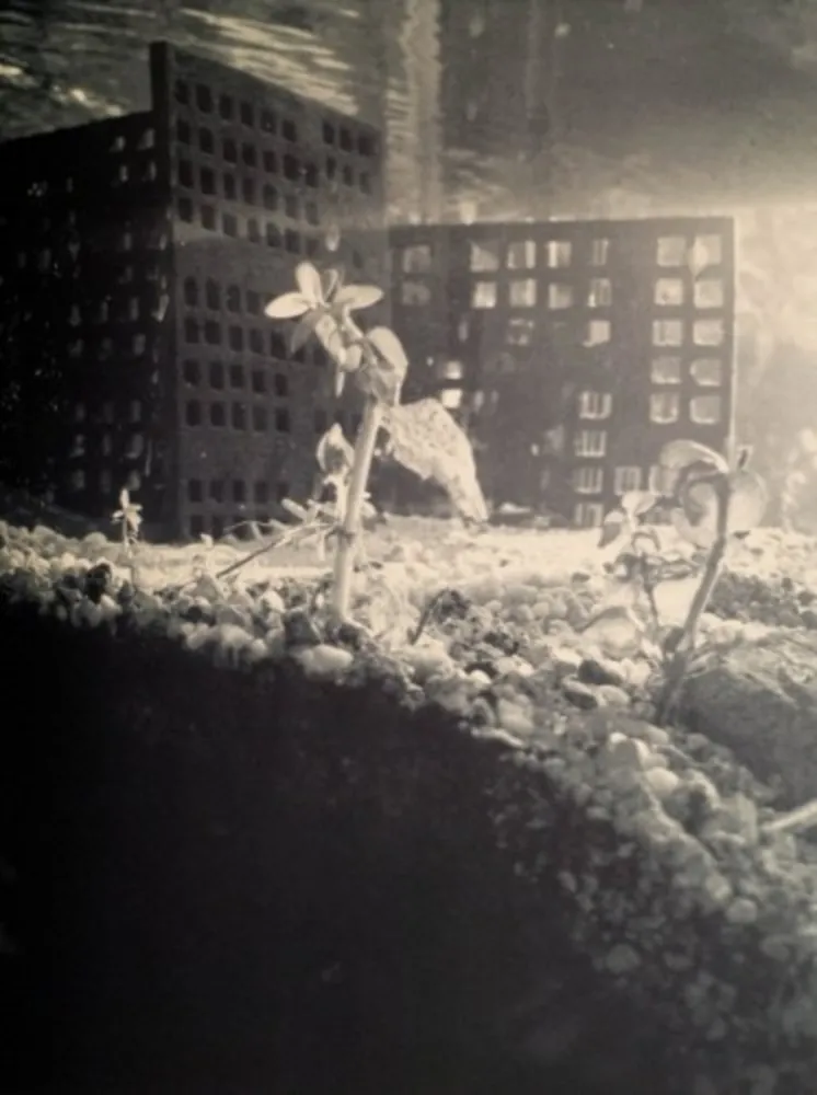 写真 Iglesias - Aquarium II, 1