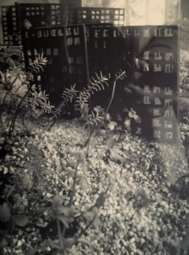 写真 Iglesias - Aquarium II, 2